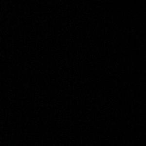 Meet your Posher, Dakota